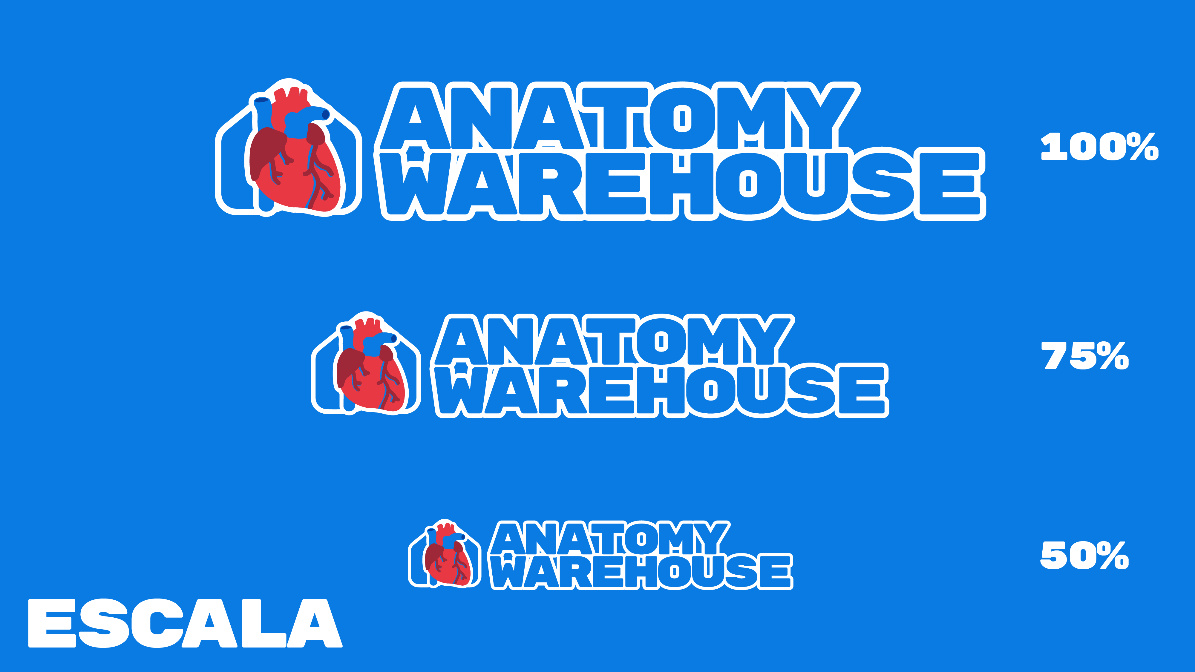 Anatomy Warehouse Visual Identity by Jesús Quintanilla on Dribbble