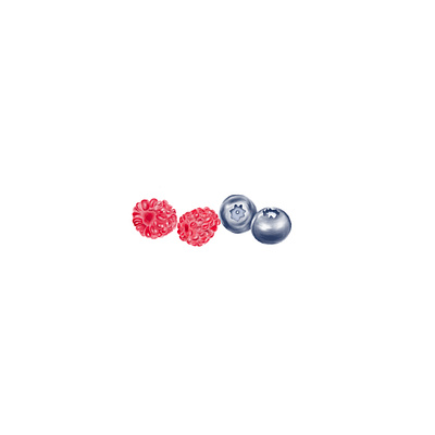Summer Berries art berries blue branding design detailed digital graphic design illustration logo pink purple red spring summer