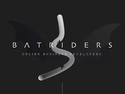 BATRIDERS (Web Presentation) animation motion graphics ui