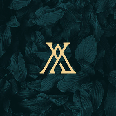 A+Y Logo Design branding graphic design logo