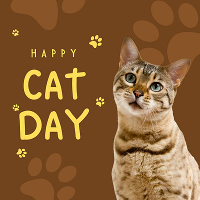 Happy Cat Day paw