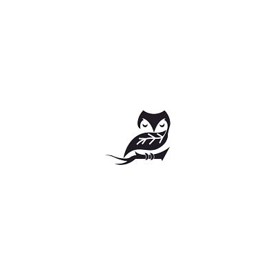 Owl Design creativelogo graphic design logo logobrand logomark logoroom owl logo design professionallogo