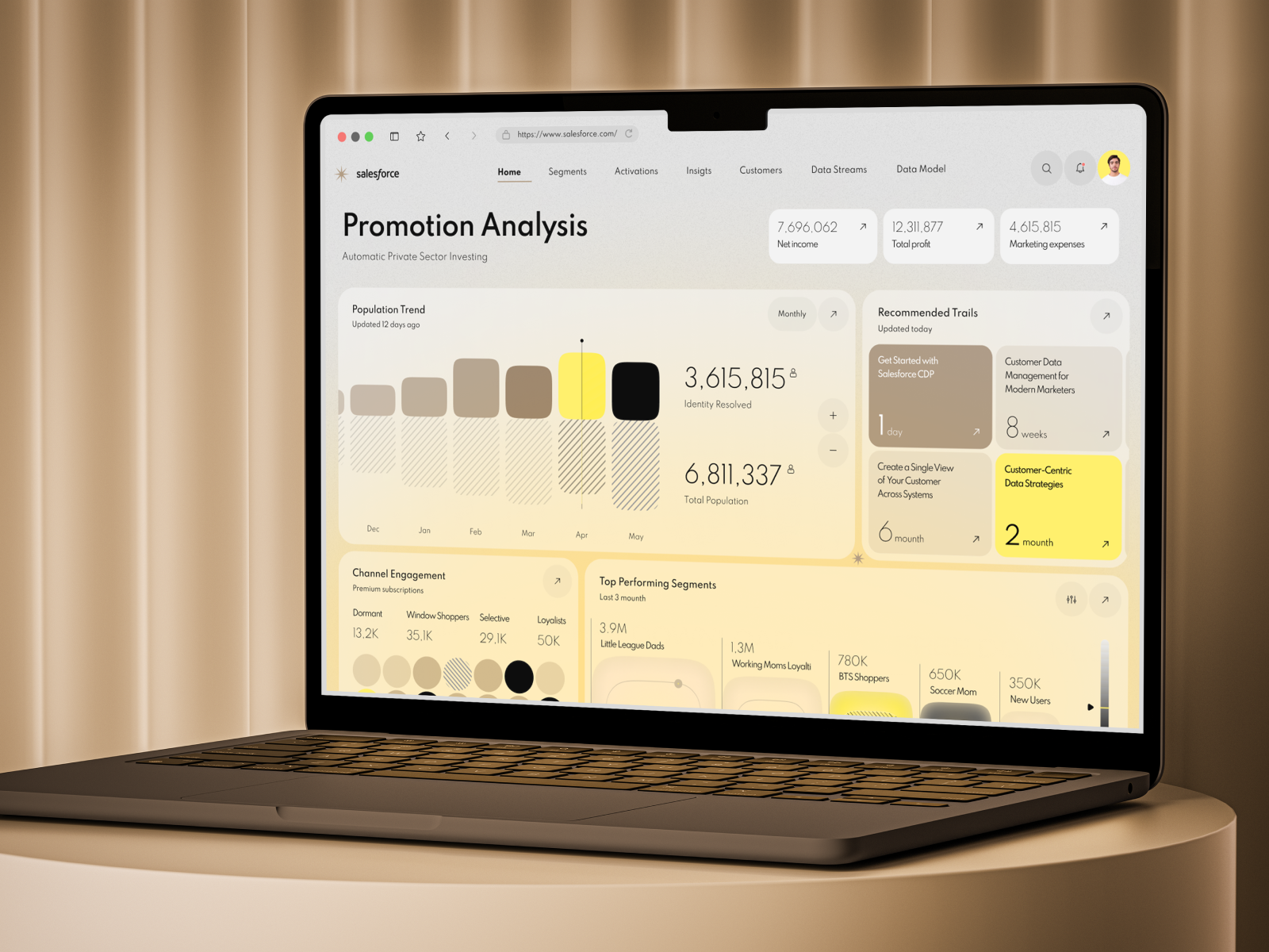 SalesForce - Promotion Analysis analytics automation crm finance financial fintech integration managment product design sales service uxdesign web design