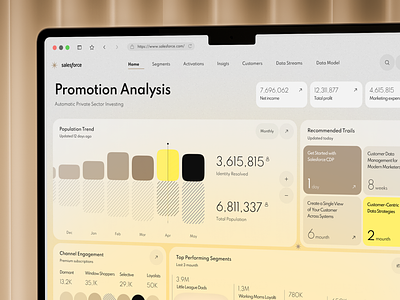 SalesForce - Promotion Analysis analytics automation crm finance financial fintech integration managment product design sales service uxdesign web design
