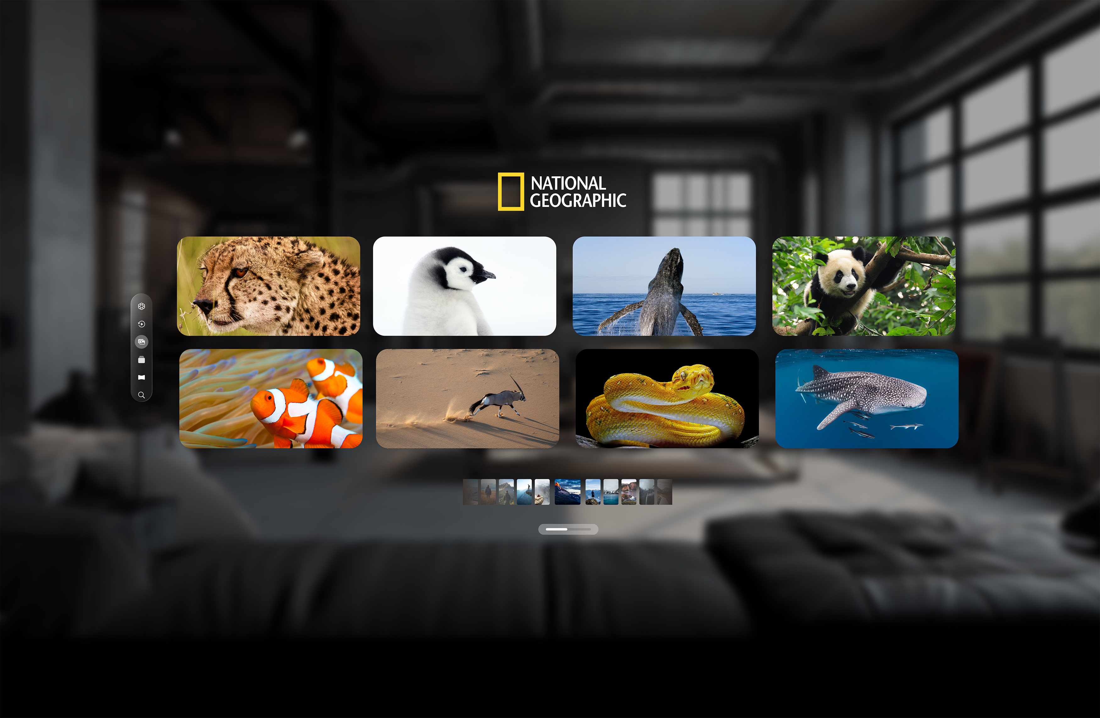 National Geographic : Apple Vision Pro apple apple vision pro ar design interactive interface national geographic spatial ui ui vision pro vr xr