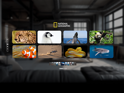 National Geographic : Apple Vision Pro apple apple vision pro ar design interactive interface national geographic spatial ui ui vision pro vr xr