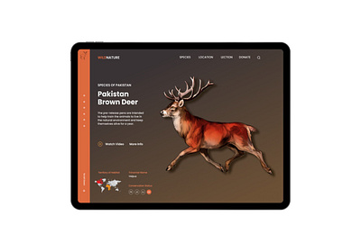 Deer Conservation App ui ux website design