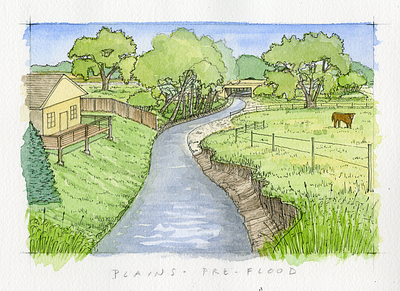 Pre-flood River Illustration - Plains colorado cottonwoods environmental erosion grazing illustration pen riparian riverbank watercolor
