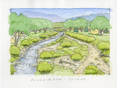 Future Conditions - Alluvial Fan colorado cottonwood environmental flood recovery floodplain future scenarios illustration pen riparian river watercolor