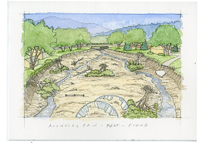 Post-flood Conditions - Alluvial Fan colorado environmental flood damage floodplain future scenarios illustration pen river restoration watercolor