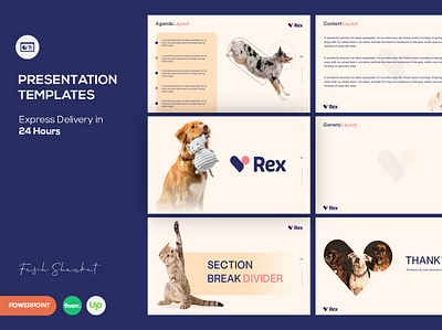 PRESENTATION TEMPLATE animal presentation branding google slides keynote microsoft powerpoint pitch deck powerpoint presentation presentation design presentation template redesign presentation