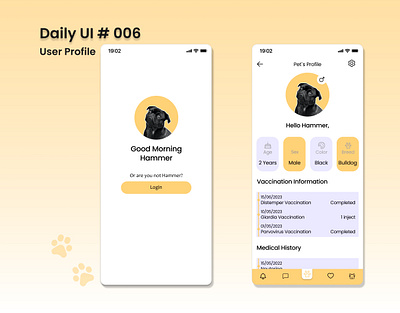 Daily UI 006 - User Profile dailyui design ui userprofile