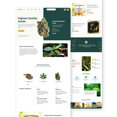 Web UI design for Herbalist brand graphic design ui