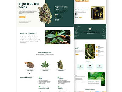 Web UI design for Herbalist brand graphic design ui