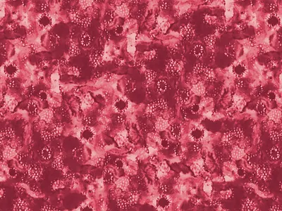 Berry Impressions apparel design illustration pattern surface pattern design textiles