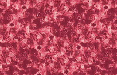 Berry Impressions apparel design illustration pattern surface pattern design textiles