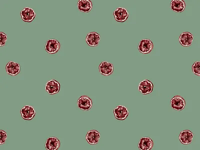 Pomegranates apparel design illustration pattern surface pattern design textiles