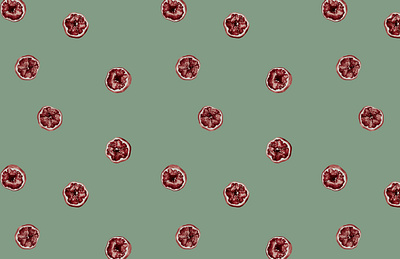 Pomegranates apparel design illustration pattern surface pattern design textiles