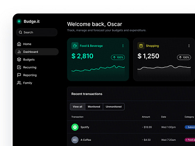 Budget Dashboard design desktop ui