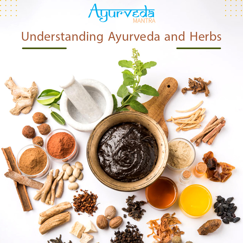 Unlocking the Healing Power Exploring the Ayurvedic Magazine by Ayurveda_mantra on Dribbble