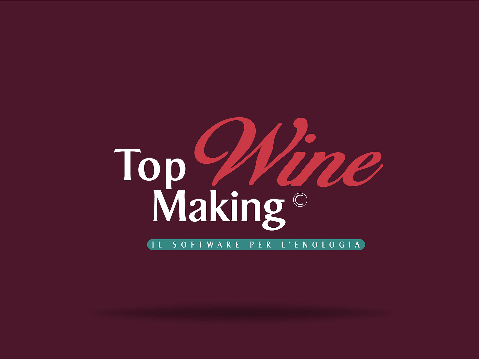 Wine distribution software Logo Design and Brand Identity by Eugenio