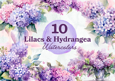 Lilacs & Hydrangea Watercolor Pack clipart hydrangea illustration lilacs png watercolor