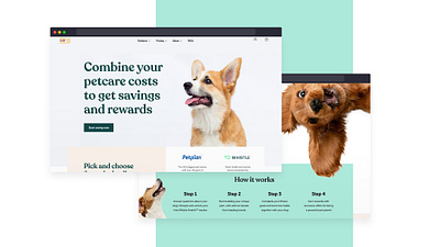 Mars Pet Care digital graphic design ui ux web design