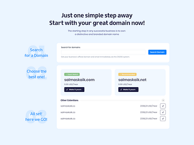 Search For a Domain domain search ui ux