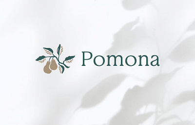 Pomona - Primary Logo brandidentity brandidentitydesign branding brandmark graphic design handdrawn illustration logo logomark pear pomona primarylogo typopgrahy