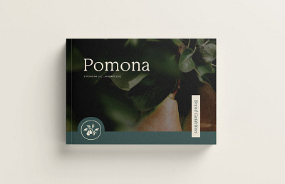 Pomona - Brand Guidelines brandguide brandguidelines brandidentity brandidentitydesign branding brandmark brandstyleguidelines design graphic design handdrawn pomona styleguidelines