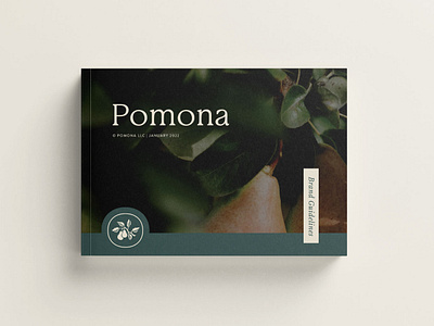 Pomona - Brand Guidelines brandguide brandguidelines brandidentity brandidentitydesign branding brandmark brandstyleguidelines design graphic design handdrawn pomona styleguidelines