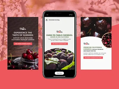 Chinchiolo Blooms | Meta Ads ad design cro cro design design facebook ads graphic design instagram ads marketing meta ads social media ads