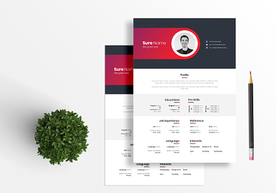 Attractive A4 CV Resume Template resume templates