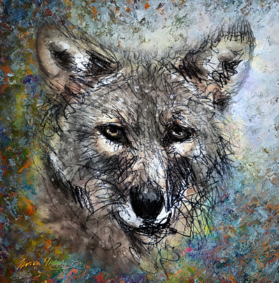 Loup gris