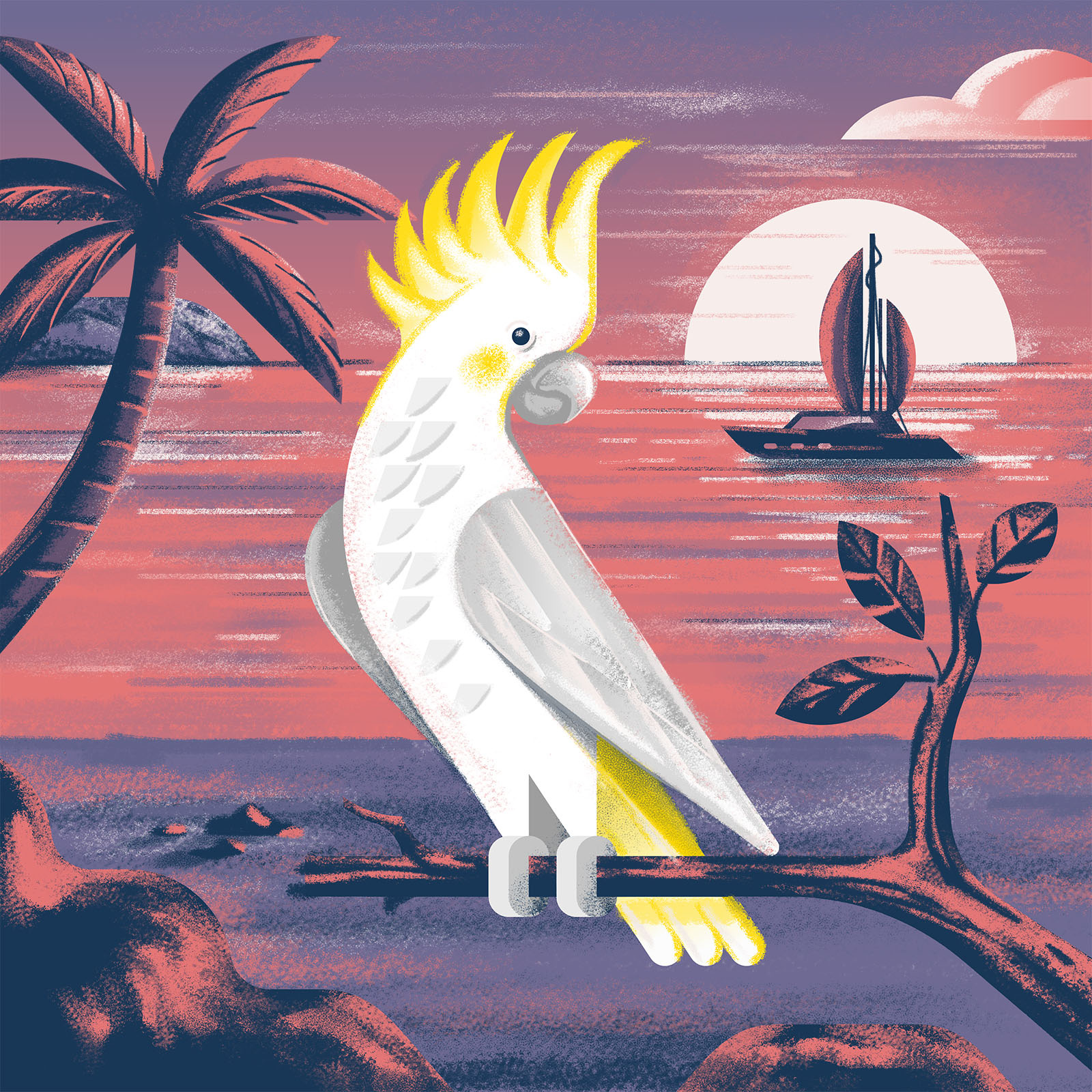 Sulphur-crested cockatoo beach bird branch cockatoo creative drawing geometric graphic design illustration illustrator island ocean palm tree parrot sulphur crested cockatoo summer vibes sunset visual identity wildlife yacht
