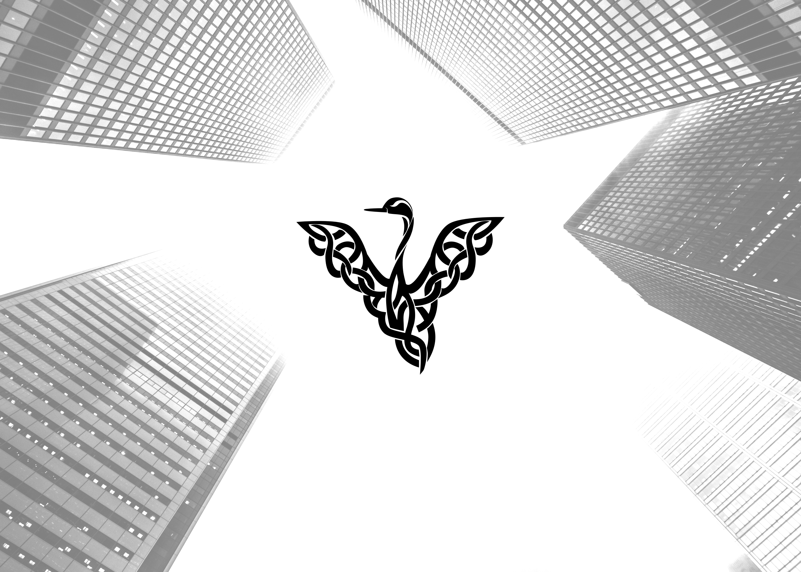 Example of Custom Logo Design + Unlimited Revisions