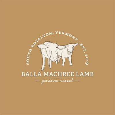 Balla Machree Lamb Logo branding design farm graphic design illustration illustrator lamb logo logo design vector vermont