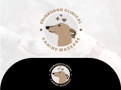 Pets Massage Healthcare Logo brand identity design brand logo branding company logo design graphic design illustration logo logo and visual identity design logo design logo design and branding minimal logo design ui vector versatile logo design