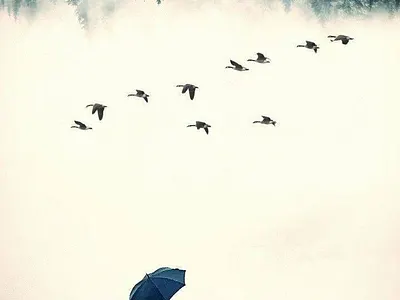 Upside Down Walk graphic design illustration photoshop