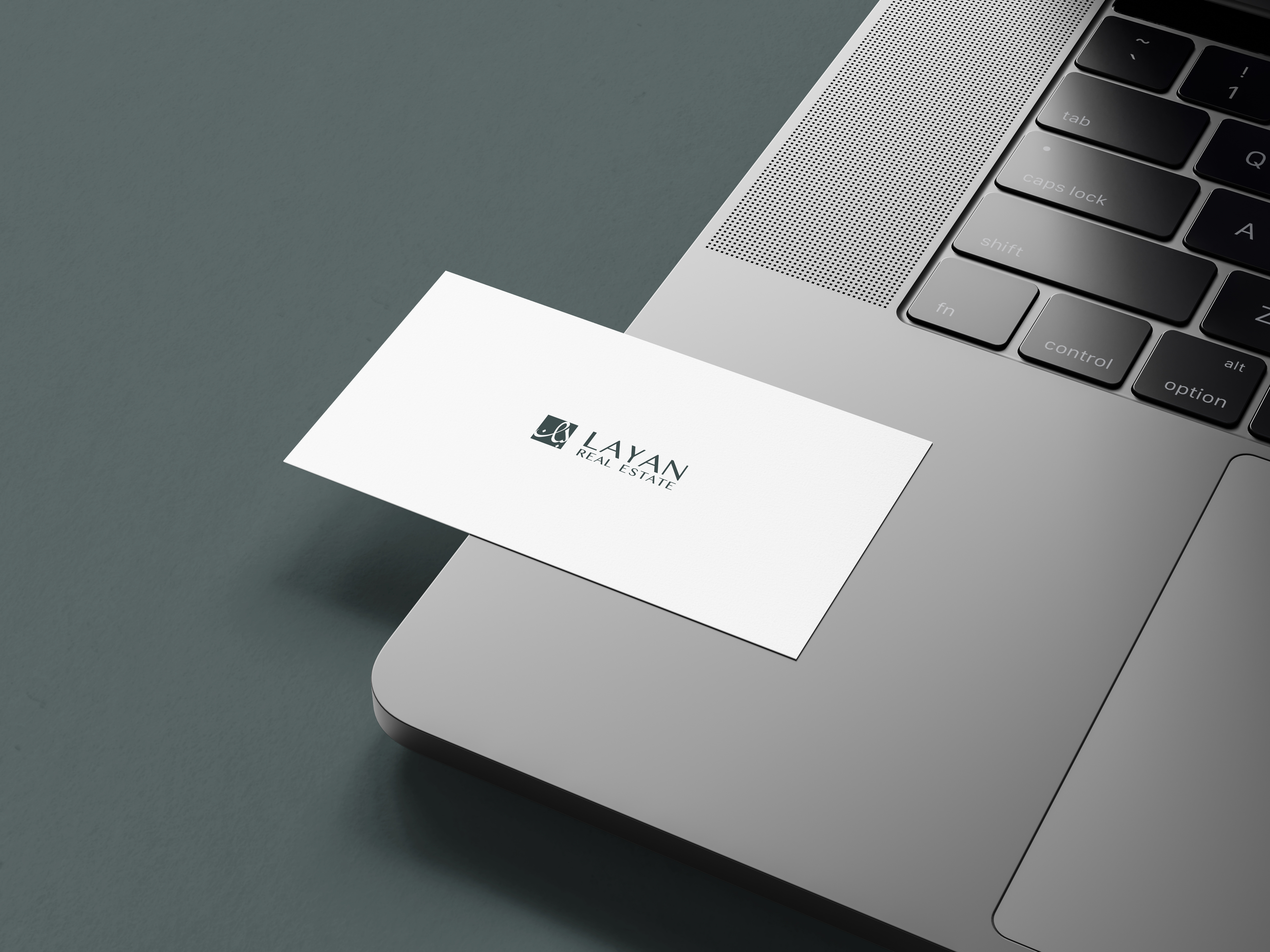 Logo, logomark, logo type branding design graphic design illustration logo typography vector