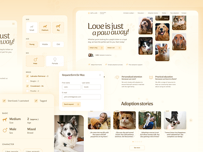 Optimized Adoption Flow for an Animal Shelter adoption flow animal shelter cats design dogs graphic design playful responsive design ui web design website