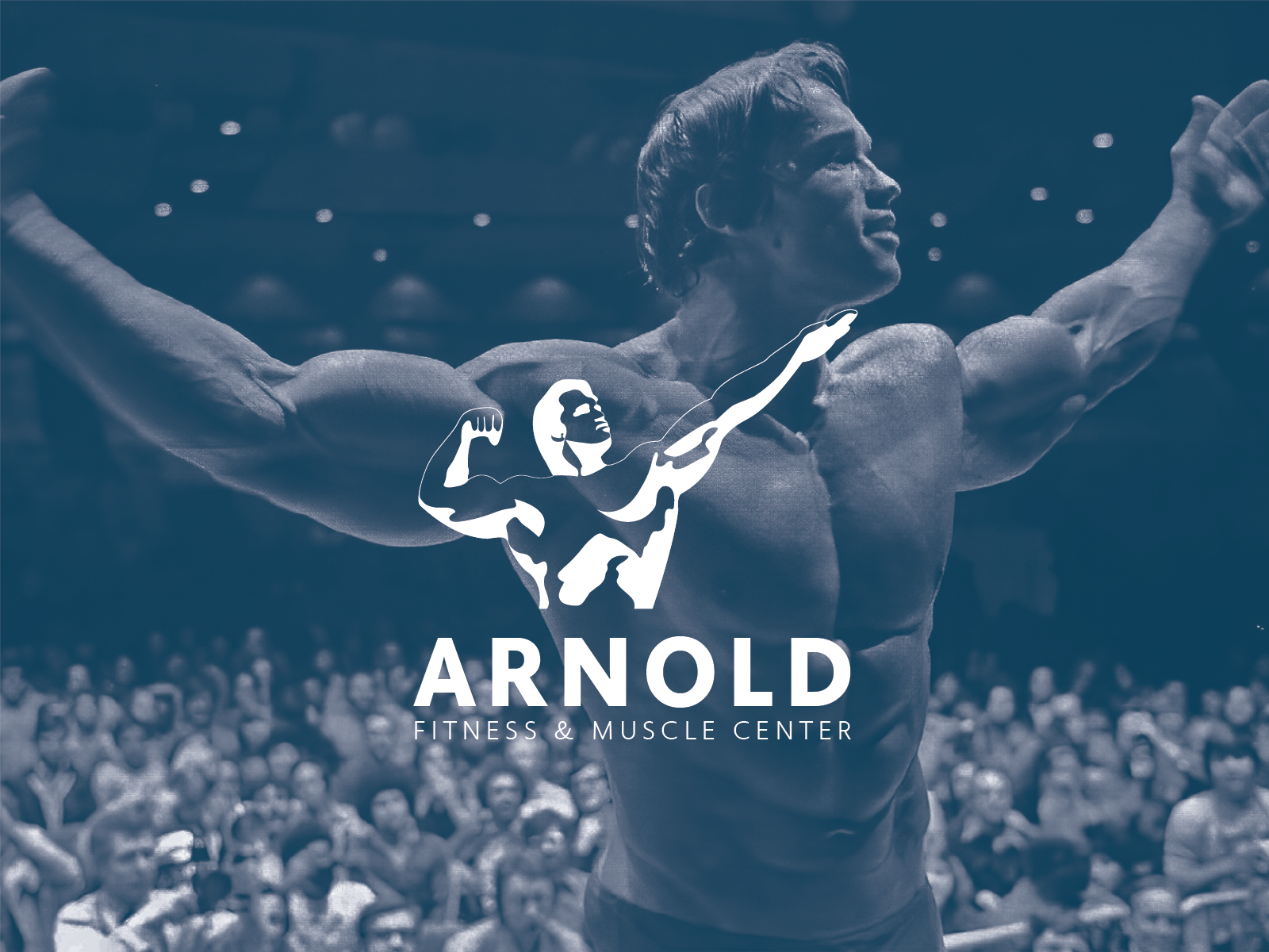 Arnold Fitness Guideline by Ammar Sawalhi on Dribbble