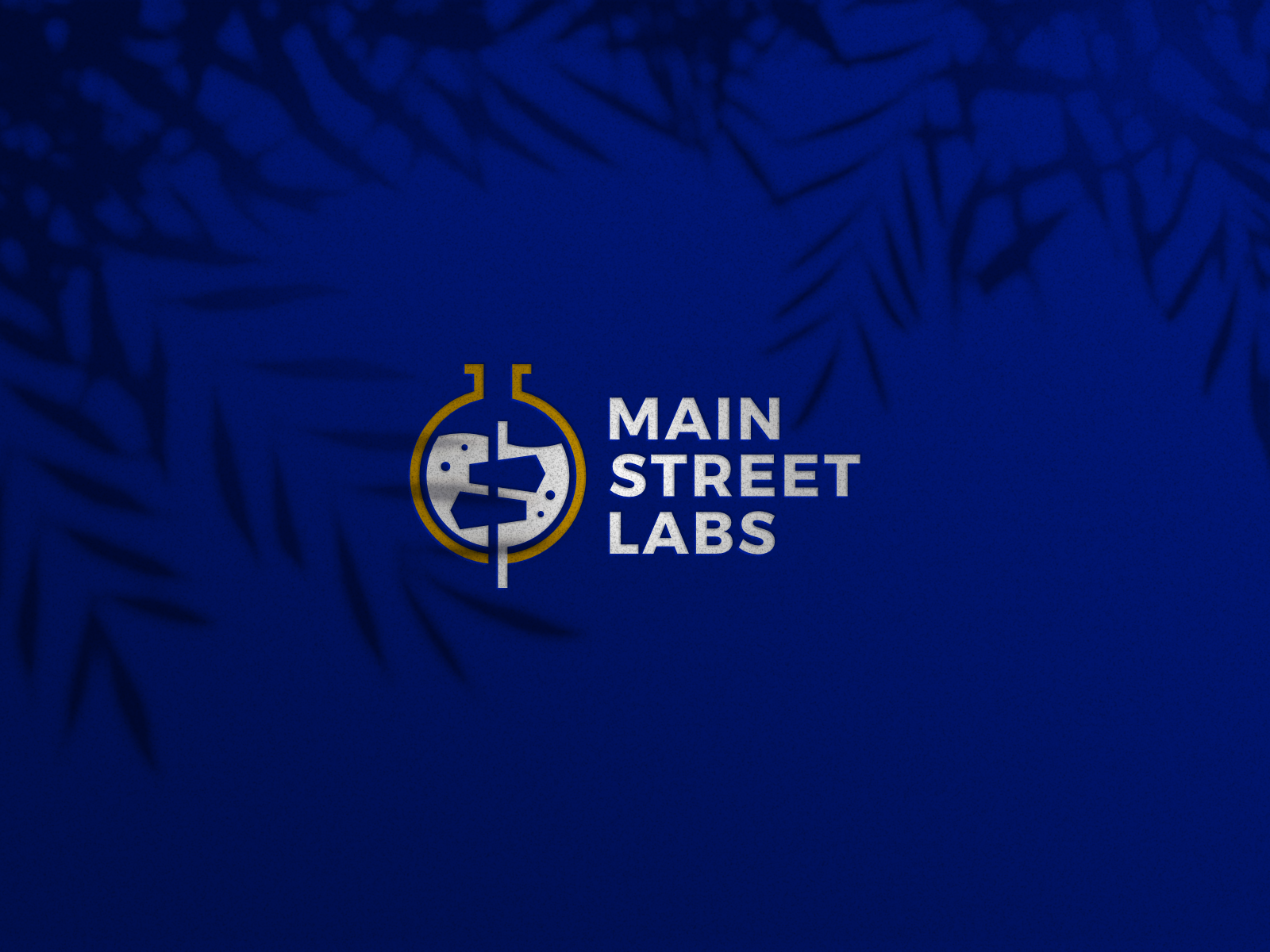 Main Street Labs Logo Design laboratory labs logo logo design logo desinger main street