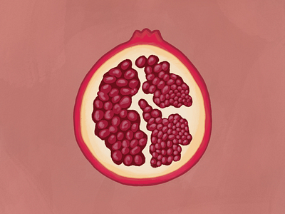 Pomegranate/Romã artist digital illustration illustration procreate