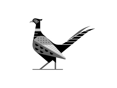 Pheasant abstract bird brand designer brand identity branding creative emblem flat illustration geometric graphic design illustration logo logo designer logomark pheasant sign simple symbol vector vector illustration