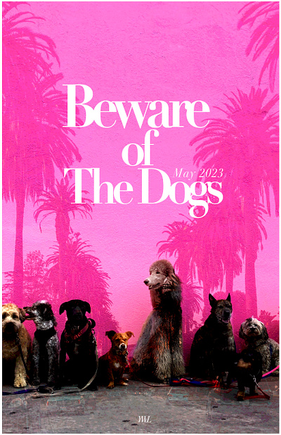Dog Poster graphic design typography
