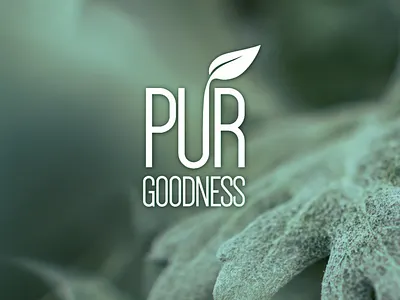 Logo design. PUR Goodness app branding design graphic design illustration logo typography ui ux vector