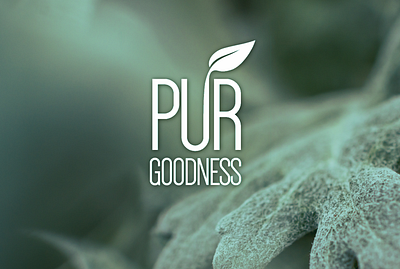 Logo design. PUR Goodness app branding design graphic design illustration logo typography ui ux vector