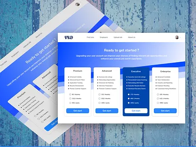 Pricing app branding design graphic design illustration logo typography ui ux vector