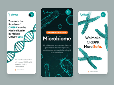 silicotx | CRISPR Therapeutics | Web & UI/UX Design | Mobile animation biology biotech cancer crispr cure disease dna gene genetics green health healthcare landing page mobile responsive science therapy ui web design